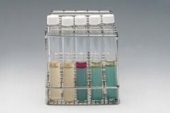 Bilder: 2x Salmonella enteritidis, E.coli, Citrobacter freundii, Enterobacter cloacae (v.l.n.r., aus Merck-Manual)